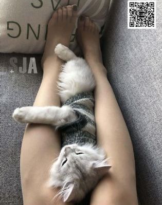 猎人：死亡符文